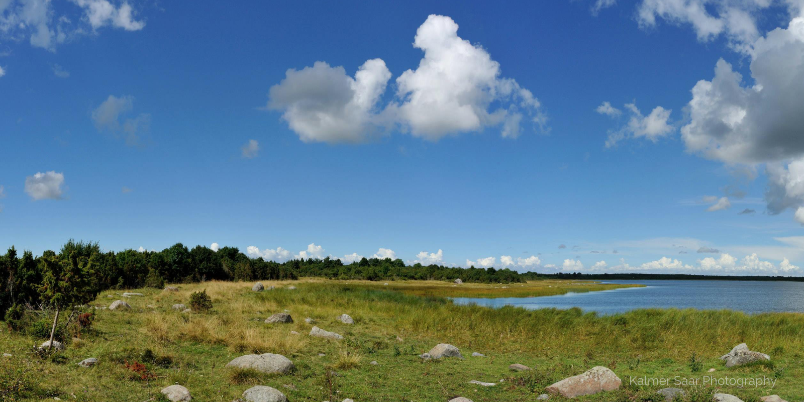 Kalmer Saar – Muhu vaade